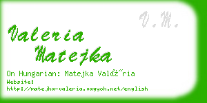 valeria matejka business card